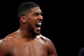Anthony joshua vs tyson fury: Mike Tyson Warns Anthony Joshua Over Lack Of Speed For Undisputed Fight With Tyson Fury The Independent