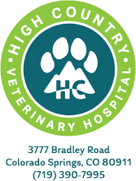 I can't say enough positive things about the pet care clinic of the.high country. Home High Country Veterinary Hospital In Colorado Springs Co