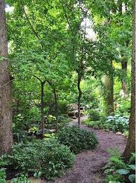 Woodland Garden Design Ideas Guzel Bahceler Golge Bahce Arka Bahce Peyzaj Duzenlemesi