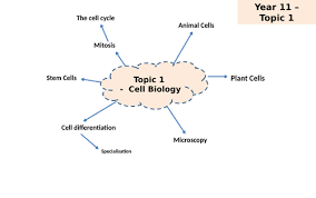 We did not find results for: Aqa Gcse Biology Mind Maps Teaching Resources
