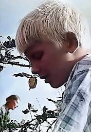 Sam Mott's Instagram, Twitter & Facebook