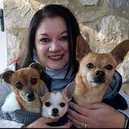 Happy Feet Pup Walks & Pet Sitting