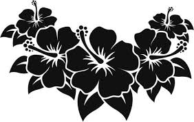 Hibiscus Vector Id165960358 520 329 Rose Stencil Hibiscus Floral Printables