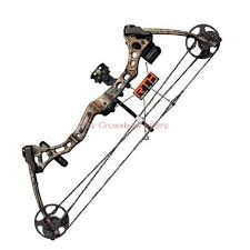 Bear Archery Apprentice 2 Compound Bow Pink 50 Lbs Rth Package Right Hand