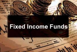 Explore The World Of Fixed Income Investment With Rurash. - Rurash  Financials Private Limited | Unlisted Equity Investments In India, Leading  Stock Brokers And Stock Dealers In India