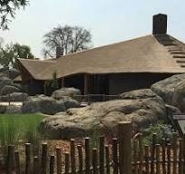 Plastic Thatch Roofing And Synthetic Thatch Roof Experts