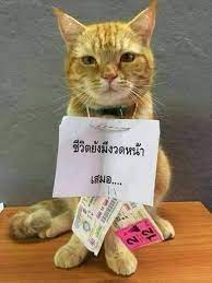 บริษัท ลอตเตอรี่ออนไลน์ จำกัด เจ้าของเว็บไซต์ กองสลาก.com ผู้ให้. Facebook