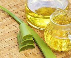 Get aloe vera leaves from garden or grocery store. Make Aloe Vera Oil For Long Hair At Home Using Just 2 Ingredients