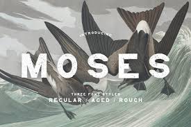 Typefaces and fonts by decade of introduction. Moses Display Grotesque Typeface In Fonts On Yellow Images Creative Store