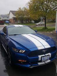 Stripes Done Classic White On Blue Look Mustang Usedcar Car Cars Blue Mustang Mustang Stripes Mustang