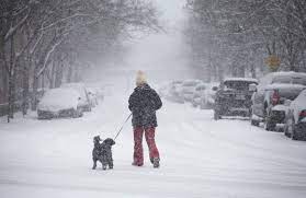 These Winter Storm Jonas Memes Jokes Will Give You Warm Fuzzy Feelings No Matter How Cold It Gets