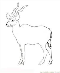 They're great for all ages. 27 Antelope Coloring Page For Kids Free Deer Printable Coloring Pages Online For Kids Coloringpages101 Com Coloring Pages For Kids