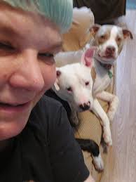 Sikkim zoological park must visiting place with kids