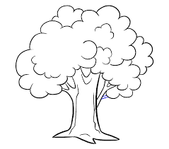 How To Draw A Cartoon Tree Easy Step By Step Drawing Guides Tree drawing transparent images (9,412).