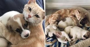 Epingle Sur Maman Et Bebe