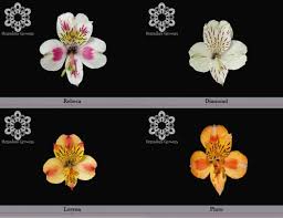 You can also create multiple watchlists, synced across all your devices. Herradura Growers 5858 Dryden Pl Carlsbad Ca Florists Mapquest