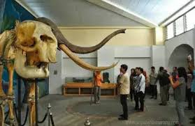 Museum ranggawarsita abdulrahman saleh semarang jawa tengah. Info Lengkap Museum Ronggowarsito Semarang Harga Tiket Dan Lokasi Jam Buka Jejak Kenzie