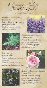 Four Essential Herbs For The Witch S Garden Green Witchcraft Portland A Witch S Path Greenwitchcraft Four E Witch Garden Green Witchcraft Magickal Herbs