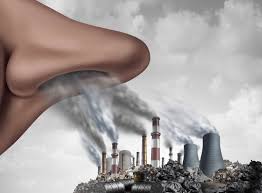 Nearly 2 Million Children Worldwide Develop Asthma As A Result Of Breathing  In Traffic-Related Pollution - WorldHealth.net