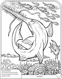 Pin On Coloring Sheets