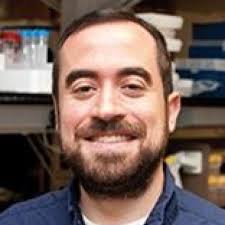 David Lorch, PhD, MSE