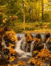 Michael Lee Tocco Obituary February 1, 2021