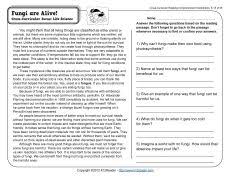 Fungi Are Alive Reading Worksheets Spelling Grammar Comprehension Lesson Plans Reading Worksheets Middle School Middle School Activities