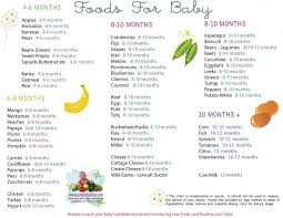 Solid Food Chart For Babies Aged 4 Months Through 12 Months