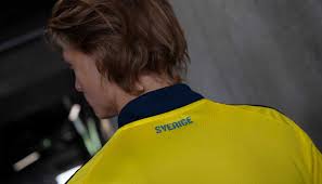 Vier jaar later werd het deelnemersveld uitgebreid naar 16 deelnemende landen. Zweden Thuisshirt 2020 2021 Voetbalshirts Com