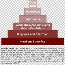 sickle cell disease science preventive healthcare png