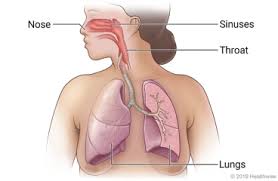 Maybe you would like to learn more about one of these? Upper Respiratory Infection Cold Care Instructions