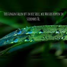 Marvsprüchezitategedanken At Wisdommarv Instagram Profile
