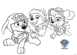Swapping her uniform for a superhero costume, everest wears a shiny. Download Coloriage Paw Patrol Zuma Gif Luke My Id