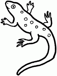 Maybe you would like to learn more about one of these? Coloring Pages Reptiles Coloring Home