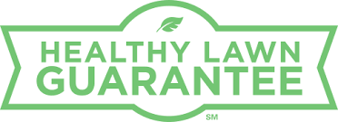 Treat yourself to huge savings with trugreen coupon code: Customized Lawn Care Pricing Trugreen