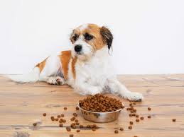 The chow chow is infamously known for its solid blue, black, or purple tongue. How Long Does A Bag Of Dog Food Last With Examples
