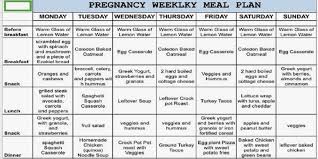 pin on pregnancy diet