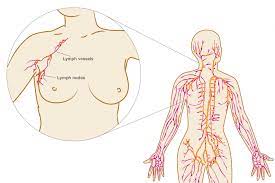 Breast cancer risk is very low in people whose main symptom is breast pain, but if your doctor recommends an evaluation, it's important to follow through. Lymphoedema Causes Symptoms And Treatment Breast Cancer Care