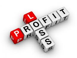 The profit and loss statement is also called the income statement but it is different from a cash flow statement. 12 Month Profit And Loss Projection Score