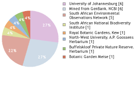 Image result for Clutia paxii