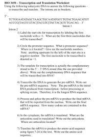 Bacteria use operons to decide what segment of dna needs to be transcribed while eukaryotes use transcription factors rna polymerase and the transcription. Bio 3650 Transcription And Translation Worksheet Chegg Com