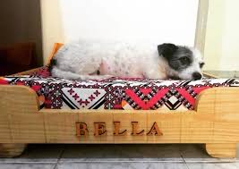 Caminha Para Cachorro Grande Passo A Passo Pin Em Casa Nova