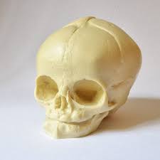 3:36 creative home decor ideas 4 436 просмотров. Skull Real Size Resin Fetus Skull Natural Bone Color Goth Oddity Home Decor Or Craft Supply Goth Chic