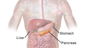 Jaundice causes a yellowing of the skin and the whites of the eyes. Pancreatic Cancer Specialist Explains Treatment Advances And Challenges