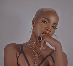 Seyi shay walked up to tiwa to say hi and tiwa wasn't having it after all the insults she (tiwa) has received from seyi shay and victoria kimani over the years. Seyi Shay S Biography Age Songs Profile Naijakit