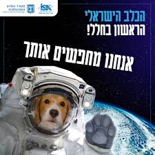 איתן סטיבה, טייס קרב בעברו, צפוי להמריא בסוף שנת 2021 למשימה מדעית. Israel Space Agency Posts Facebook