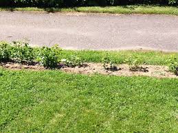 Image result for site:byggahus.se ojämn