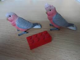 The official website of pink dolphin. Pictures For Toy Animal Wiki Page 2