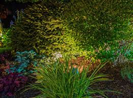 The owl lamps will protect your garden. Eclairage Exterieur Eclairage Jardin Light My Place