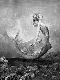 Black And White Mermaid Pin By Zipporah Ross On Art Mermaid Art Vintage Mermaid Mermaid Life